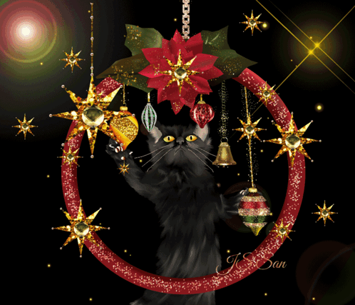 A Black Cat Is Standing In A Christmas Wreath With Gold Stars GIF