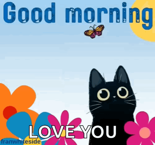 A Black Cat Is Standing In Front Of Flowers And A Butterfly And Says Good Morning Love You GIF