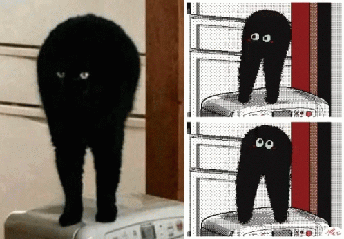 A Black Cat Is Standing On A Washing Machine GIF