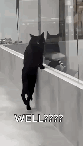 A Black Cat Is Standing On Its Hind Legs On A Railing And Looking Out Of A Window . GIF