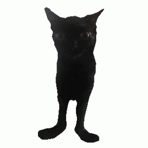 A Black Cat Is Standing On Its Hind Legs With A White Background GIF