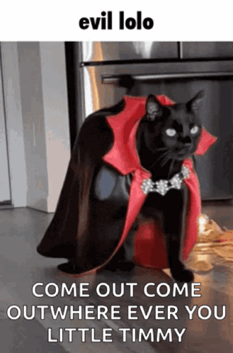 A Black Cat Is Wearing A Red Cape And A Necklace GIF
