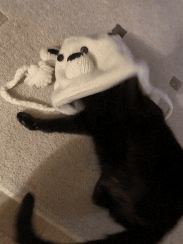 A Black Cat Is Wearing A White Hat With Ears On It GIF
