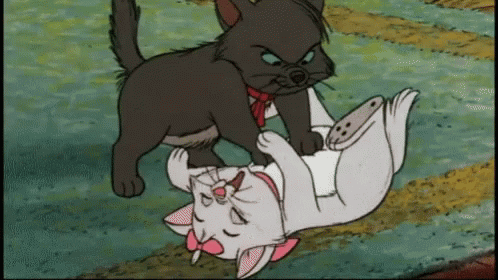 A Black Cat Laying On Top Of A White Cat With A Pink Bow GIF
