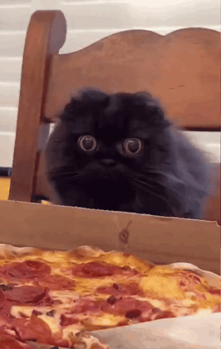 A Black Cat Peeking Out Of A Box Of Pepperoni Pizza GIF