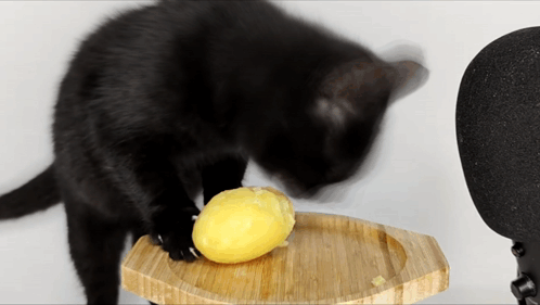 A Black Cat Reaches For A Lemon On A Wooden Cutting Board GIF