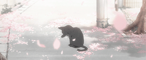 A Black Cat Sits On A Sidewalk Surrounded By Pink Flowers GIF
