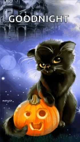 A Black Cat Sitting On Top Of A Carved Pumpkin With The Words Goodnight Written Above It GIF