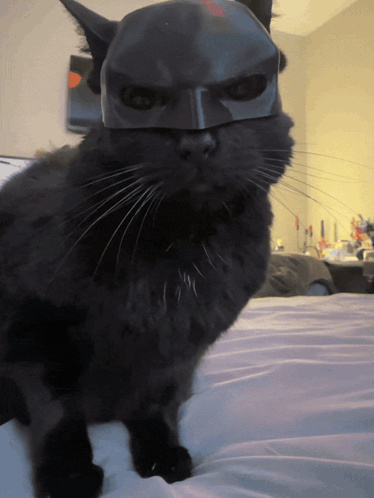 A Black Cat Wearing A Batman Mask On Its Head GIF