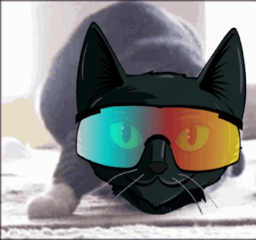A Black Cat Wearing A Pair Of 3D Glasses Looks At The Camera GIF