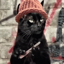 A Black Cat Wearing A Red Hat Is Holding A Nail File . GIF