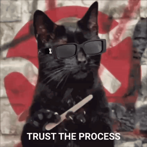 A Black Cat Wearing Sunglasses And Holding A Nail File With The Words Trust The Process Behind It GIF
