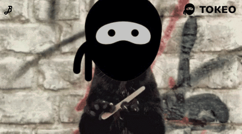 A Black Cat With A Ninja Mask On Holding A Knife In Front Of A Brick Wall GIF