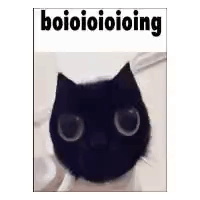 A Black Cat With Big Eyes Is Sitting On A White Blanket . GIF