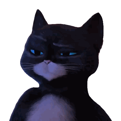 a black cat with blue eyes and a white nose