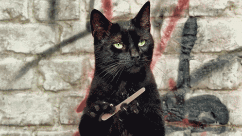 A Black Cat With Green Eyes Is Holding A Nail File In Front Of A Brick Wall GIF
