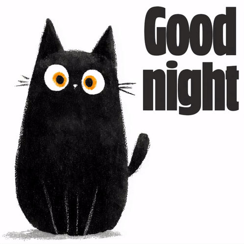 A Black Cat With Orange Eyes And The Words Good Night GIF