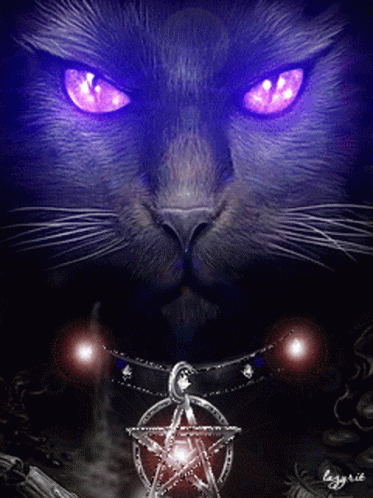 A Black Cat With Purple Eyes Is Holding A Pentagram Necklace GIF
