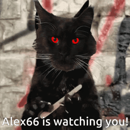A Black Cat With Red Eyes Is Holding A Knife In Its Paw And Alex66 Is Watching You GIF