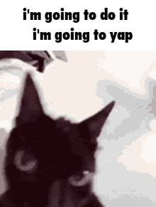 A Black Cat With The Words I 'M Going To Do It I 'M Going To Yap Written Above It GIF