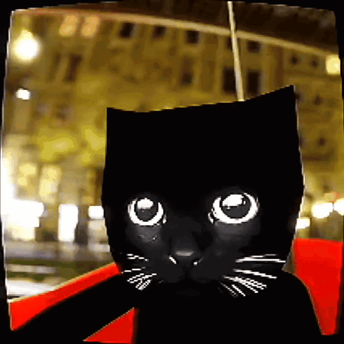 A Black Cat With White Whiskers And Big Eyes GIF