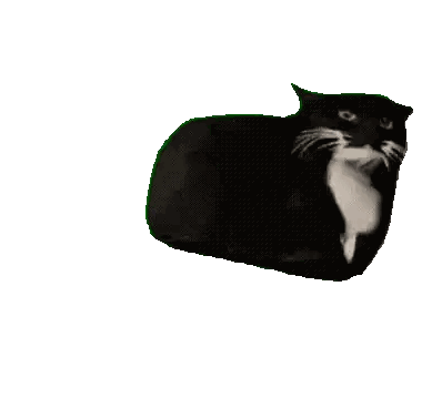 a black cat with white whiskers is looking at the camera