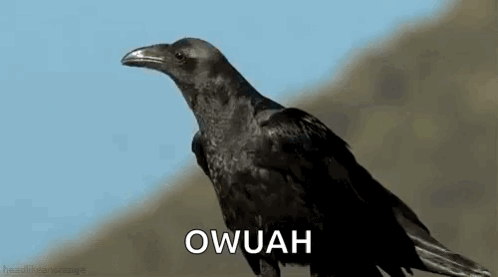 A Black Crow Is Sitting On Top Of A Hill With The Word Owuah Written On The Bottom . GIF