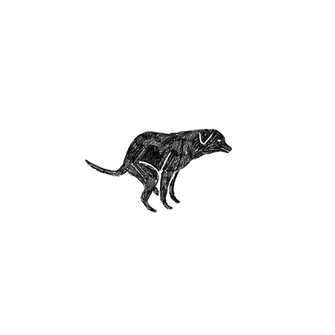 A Black Dog Its Poop Again GIF