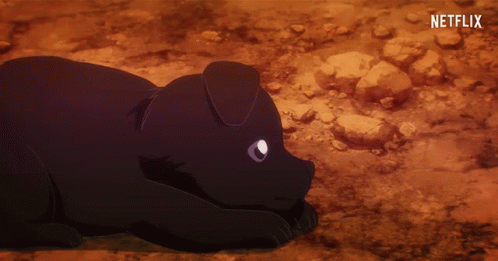 A Black Dog Laying On The Ground With A Netflix Logo In The Corner GIF