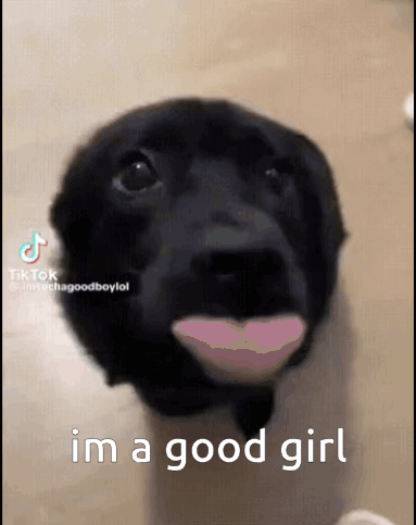 A Black Dog With A Pink Lip And The Words I 'M A Good Girl Below It GIF