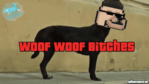 A Black Dog With A Pixelated Man 'S Head And The Words Woof Woof Bitches On The Bottom GIF