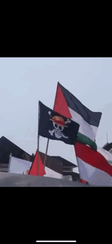 A Black Flag With A Skull And Crossbones On It GIF