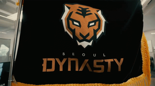 A Black Flag With A Tiger Head And The Word Dynasty On It GIF