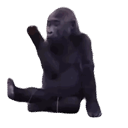 a black gorilla is sitting on its knees looking at something