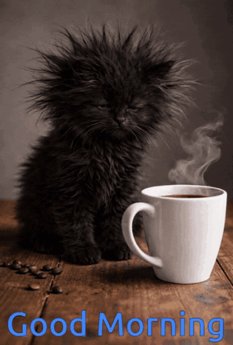 A Black Kitten Sits Next To A Cup Of Coffee With The Words " Good Morning " Written Below It GIF
