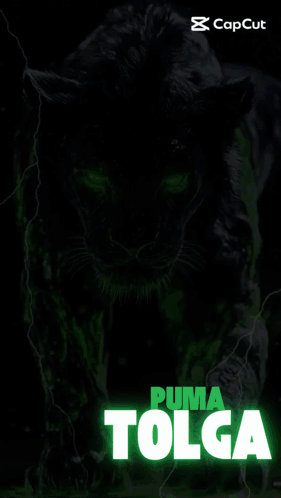 A Black Panther With Green Eyes And The Name Tolga GIF