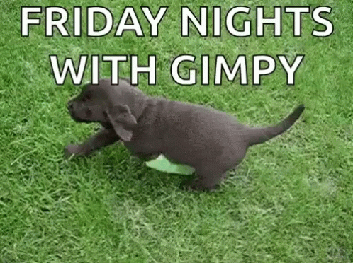 A Black Puppy Is Running On A Lush Green Field . GIF