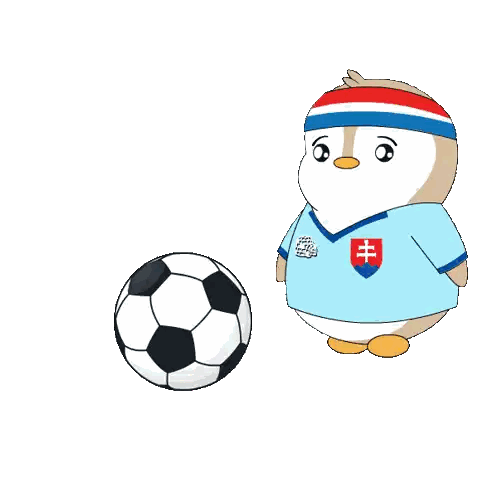 a black soccer ball with a white stripe on the side