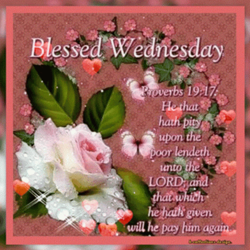 A Blessed Wednesday Card With Flowers And Butterflies On A Pink Background GIF