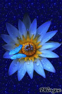 A Blingee Image Of A Blue Flower With Water Drops GIF