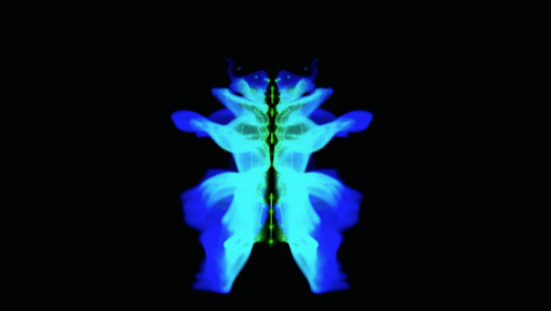 A Blue And Green Butterfly Is Against A Black Backdrop GIF