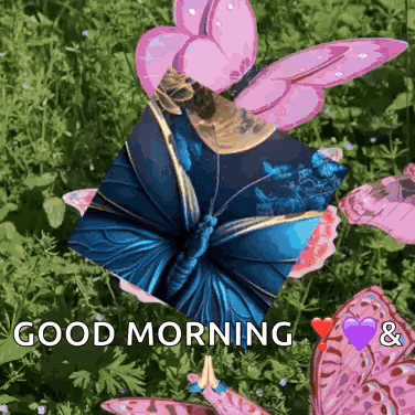 a blue and pink butterfly is surrounded by pink butterflies and the words good morning
