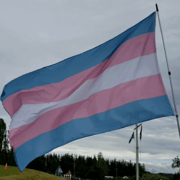 A Blue And Pink Striped Flag Flies In The Wind GIF