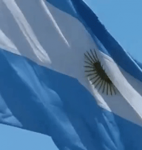 A Blue And White Flag With A Gold Sun On It GIF
