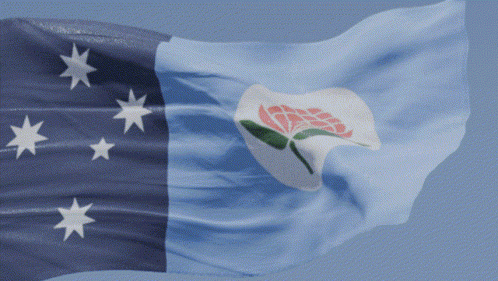 A Blue And White Flag With White Stars And A Pink Flower On It GIF