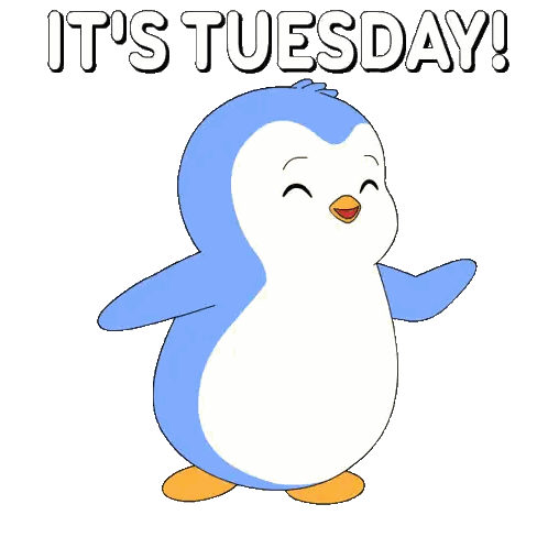 a blue and white penguin with the words " it 's tuesday " below it