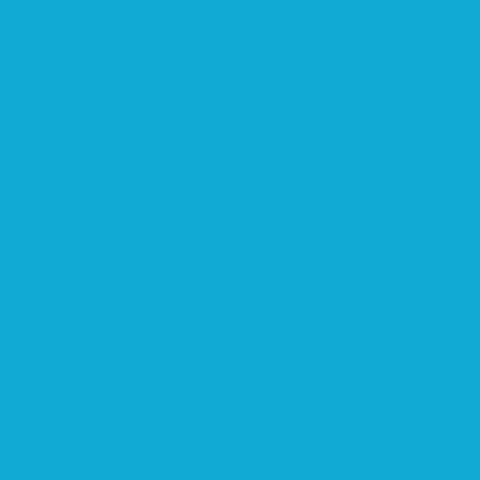A Blue And White Shield With A White Star On It GIF