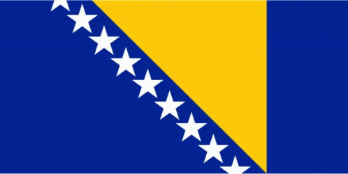 a blue and yellow flag with white stars on a black background