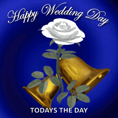 A Blue Background With A White Rose And Gold Bells And The Words Happy Wedding Day Todays The Day GIF