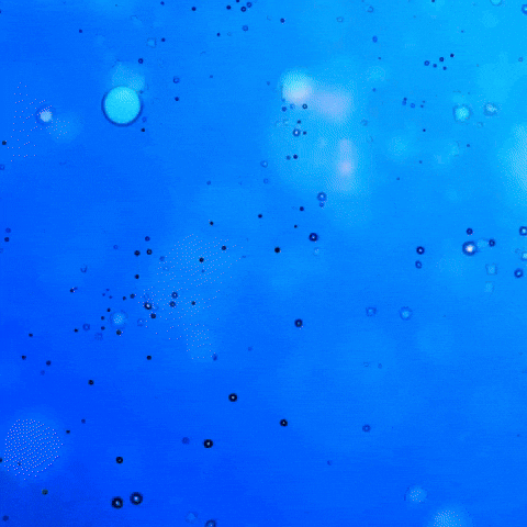 A Blue Background With The Words Pong Meme Written On It GIF